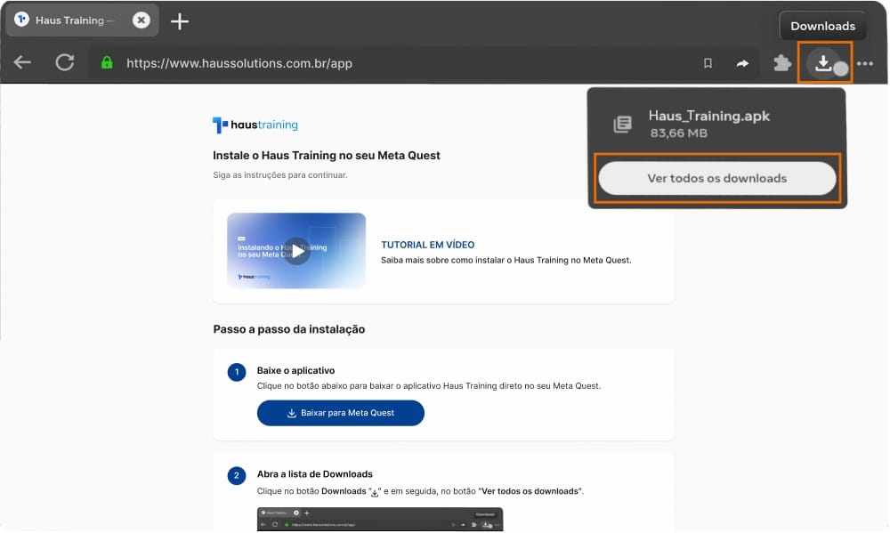 Imagem ilustrativa do passo 2, mostrando a lista de downloads
